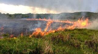MS suspende queimas controladas até novembro e amplia restrição no Pantanal MS suspende queimas controladas até novembro e amplia restrição no Pantanal