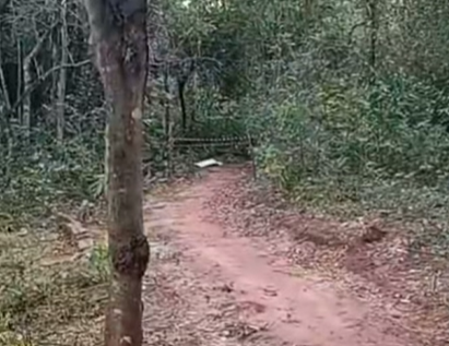 Jovem de 23 anos &eacute; encontrado morto em bosque municipal de Itaquira&iacute;