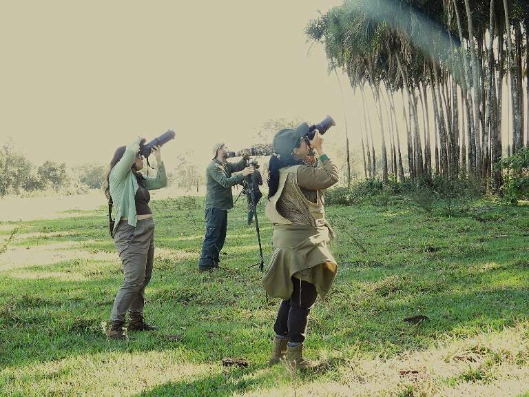 Foto: Suzana Arakaki