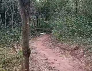 Jovem de 23 anos &eacute; encontrado morto em bosque municipal de Itaquira&iacute;