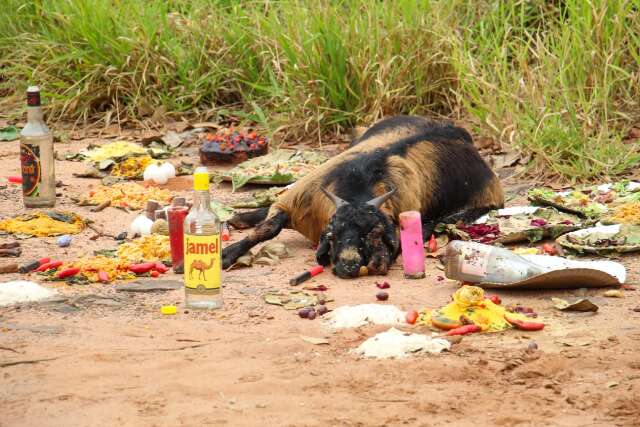 Oferenda com bode morto causa mau cheiro e incomoda moradores no Jardim Veraneio