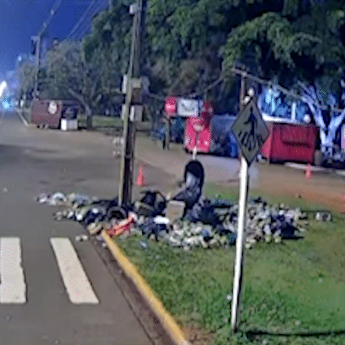 Sacos s&atilde;o revirados de madrugada e Afonso Pena fica tomada por lixo