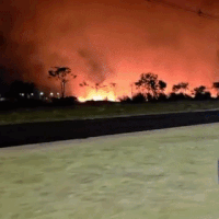 Chamas altas avan&ccedil;am sobre &aacute;rea de mata em Chapad&atilde;o do Sul