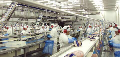 Exporta&ccedil;&otilde;es de Campo Grande batem recorde e garantem maior super&aacute;vit em 29 anos