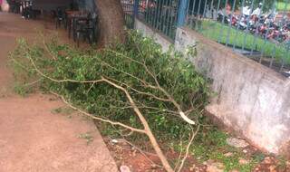 Cal&ccedil;ada segue quebrada h&aacute; mais de 2 semanas e dificulta passagem de cadeirantes