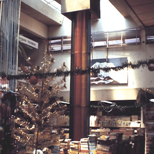 Fonte gigante fez supermercado em 1973 virar passeio campo-grandense