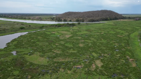 Com canal travado e via inundada, comunidade volta a ficar isolada no Pantanal