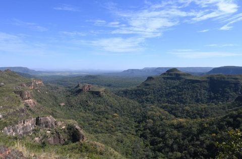 Pantanal reduz desmatamento em 65% e Cerrado tem queda de 11,5%