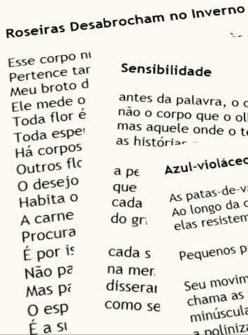 Concurso de Poesias anuncia vencedores e premiar&aacute; os melhores no dia 20
