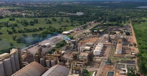 Produ&ccedil;&atilde;o de biodiesel cresce 32% em MS e supera 31 milh&otilde;es de litros