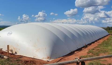 MS j&aacute; tem projetos em mercado de carbono que pode movimentar R$ 2,36 bilh&otilde;es