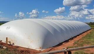 MS j&aacute; tem projetos em mercado de carbono que pode movimentar R$ 2,36 bilh&otilde;es