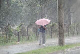 Capital registra 55,6 mm de chuva nesta segunda-feira e lidera acumulado em MS Capital registra 55,6 mm de chuva nesta segunda-feira e lidera acumulado em MS
