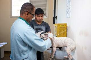 Economia com opção à UPA Veterinária será de 50%, estima prefeitura Economia com opção à UPA Veterinária será de 50%, estima prefeitura