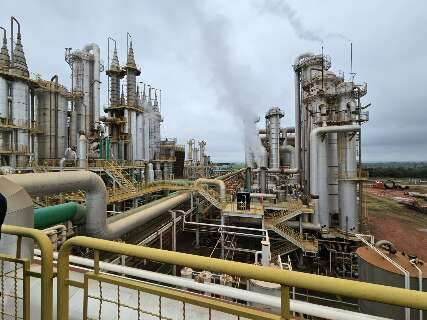 Da cana ao etanol de milho, bioenergia impulsiona nova era de crescimento em MS