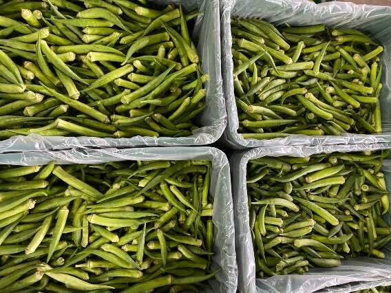Pre&ccedil;o do quiabo dispara 20% e laranja tem queda de 16% na 1&ordf; semana de agosto