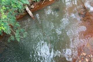 Mau cheiro e morte de peixes levam MP a apurar poluição no Córrego Imbirussu Mau cheiro e morte de peixes levam MP a apurar poluição no Córrego Imbirussu