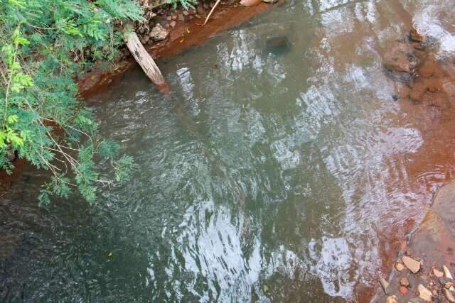 Mau cheiro e morte de peixes levam MP a apurar polui&ccedil;&atilde;o no C&oacute;rrego Imbirussu
