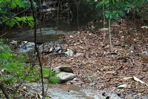 Sof&aacute;s, animais mortos e &aacute;gua verde dividem espa&ccedil;o com caminhada no Imbirussu