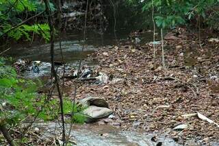 Sofás, animais mortos e água verde dividem espaço com caminhada no Imbirussu Sofás, animais mortos e água verde dividem espaço com caminhada no Imbirussu