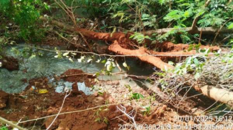 Mau cheiro e morte de peixes levam MP a apurar polui&ccedil;&atilde;o no C&oacute;rrego Imbirussu