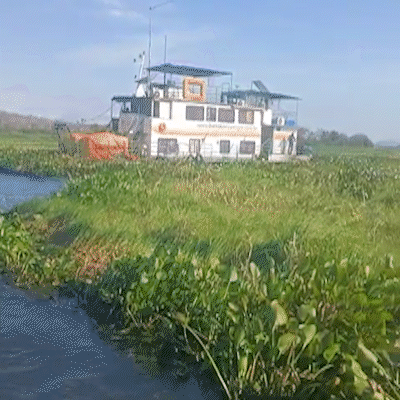 DNIT inicia remo&ccedil;&atilde;o de vegeta&ccedil;&atilde;o flutuante que isolava comunidade no Pantanal