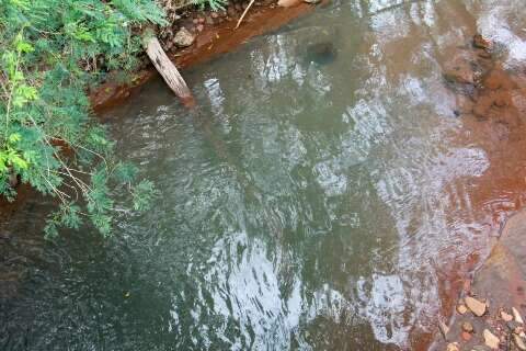 Mau cheiro e morte de peixes levam MP a apurar polui&ccedil;&atilde;o no C&oacute;rrego Imbirussu