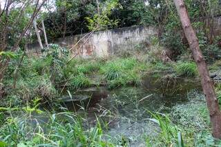 Sofás, animais mortos e água verde dividem espaço com caminhada no Imbirussu Sofás, animais mortos e água verde dividem espaço com caminhada no Imbirussu