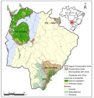 Estudo em MS propõe pagamento a produtor que preserva habitat da onça-pintada Estudo em MS propõe pagamento a produtor que preserva habitat da onça-pintada
