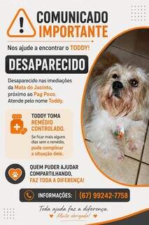 Família procura cachorro de 7 anos que sofre com crises convulsivas Família procura cachorro de 7 anos que sofre com crises convulsivas