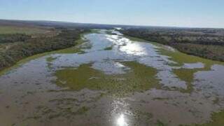 Falhas em fábrica de celulose e esgoto não tratado "sufocam" o Rio Pardo Falhas em fábrica de celulose e esgoto não tratado "sufocam" o Rio Pardo