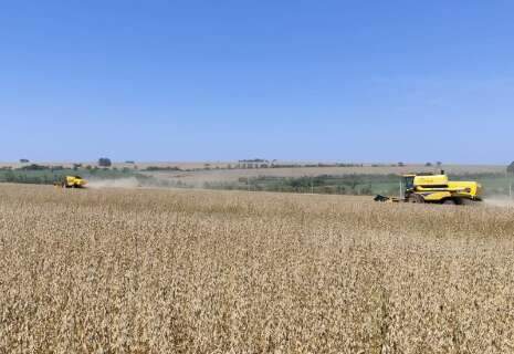 Recupera&ccedil;&atilde;o judicial no agro cresce 22% e MS soma 38 pedidos