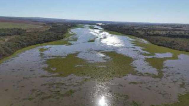 Falhas em f&aacute;brica de celulose e esgoto n&atilde;o tratado "sufocam" o Rio Pardo