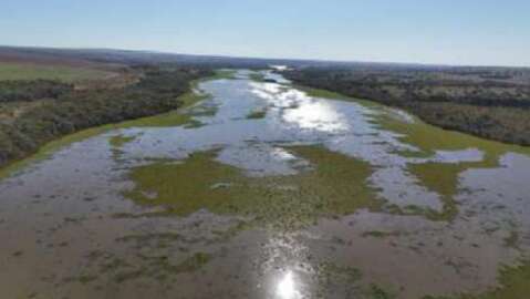 Falhas em f&aacute;brica de celulose e esgoto n&atilde;o tratado "sufocam" o Rio Pardo