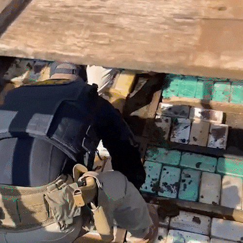 PRF apreende 196 kg de coca&iacute;na em caminh&atilde;o boiadeiro em Corumb&aacute;