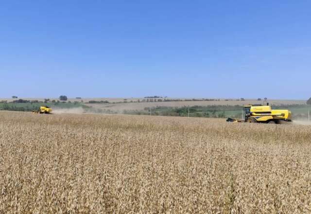 Recupera&ccedil;&atilde;o judicial no agro cresce 22% e MS soma 38 pedidos