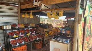 Sem autorização, barraca ocupa faixa pública e terá de deixar avenida Sem autorização, barraca ocupa faixa pública e terá de deixar avenida