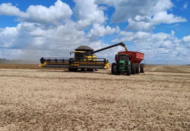 Soja de MS amplia espa&ccedil;o no Oriente M&eacute;dio, mas China ainda domina exporta&ccedil;&otilde;es