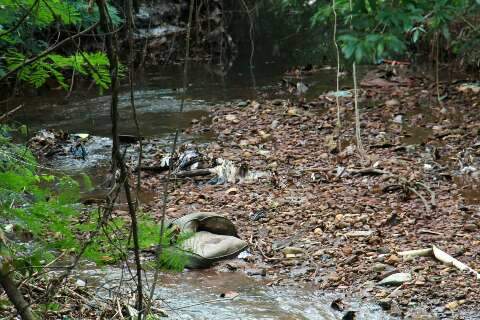 Ap&oacute;s den&uacute;ncia, Planurb vai avaliar mau cheiro e lixo no C&oacute;rrego Imbirussu