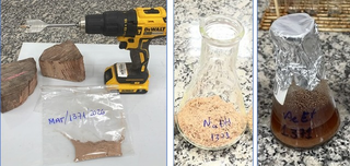 Sem coca&iacute;na, carga de madeira &eacute; liberada ap&oacute;s quase 2 meses retida em Corumb&aacute;