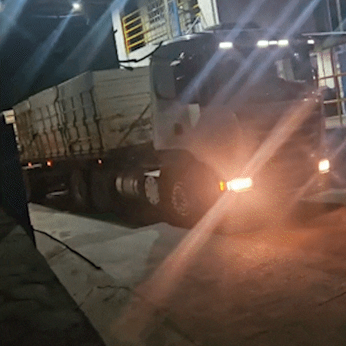 Sem coca&iacute;na, carga de madeira &eacute; liberada ap&oacute;s quase 2 meses retida em Corumb&aacute;