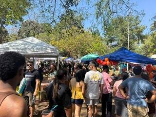 Feira Bosque da Paz celebra aos quatro anos com 510 expositores e fila de espera Feira Bosque da Paz celebra aos quatro anos com 510 expositores e fila de espera