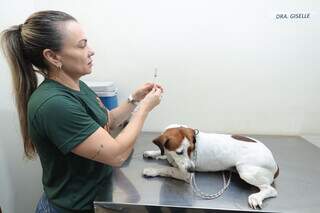 Consult&oacute;rio M&oacute;vel oferece atendimento gratuito para c&atilde;es e gatos no Aeroporto