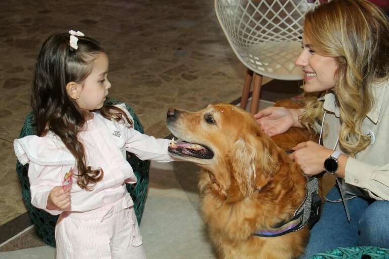 Pet não precisa perder espaço com o bebê e vínculo começa nos adultos