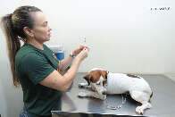 Consultório Móvel oferece atendimento gratuito para cães e gatos no Aeroporto