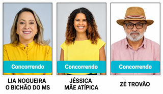 De Mãe Atípica a Zé Trovão, candidatos levam causas e apelidos para a urna De Mãe Atípica a Zé Trovão, candidatos levam causas e apelidos para a urna