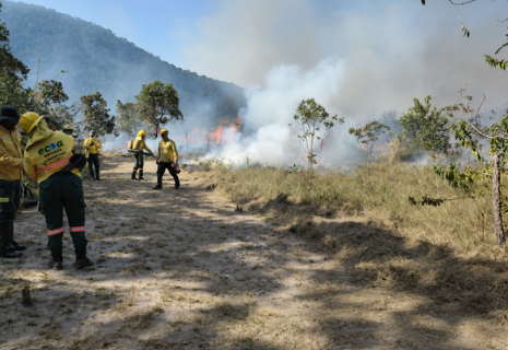 MS &eacute; 2&ordm; no Pa&iacute;s em emerg&ecirc;ncias reconhecidas por inc&ecirc;ndios em &aacute;reas protegidas