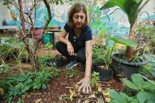 Calor infernal n&atilde;o perdoa nem as plantas; aprenda a salvar as suas