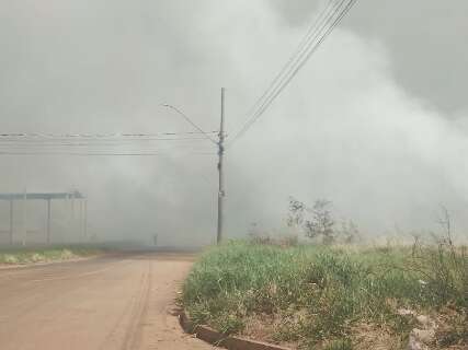 Inc&ecirc;ndio em &aacute;rea verde no Bela Laguna atrapalha vis&atilde;o de motoristas no tr&acirc;nsito