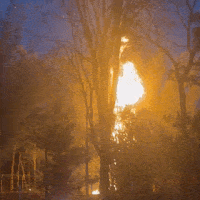 Inc&ecirc;ndio em bambuzal deixa Ch&aacute;cara dos Poderes sem energia